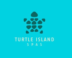 лого в виде черепахи