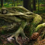 Tree_frog_artwork_by_Todd1000.jpg