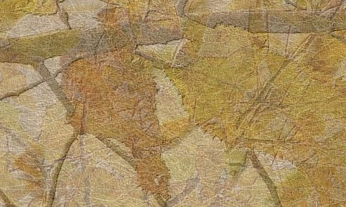 Прессованная текстура из листвы