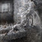 woman-photomanipulation-41